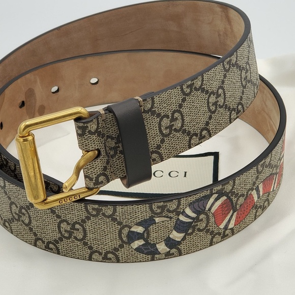 gg supreme belt with kingsnake print